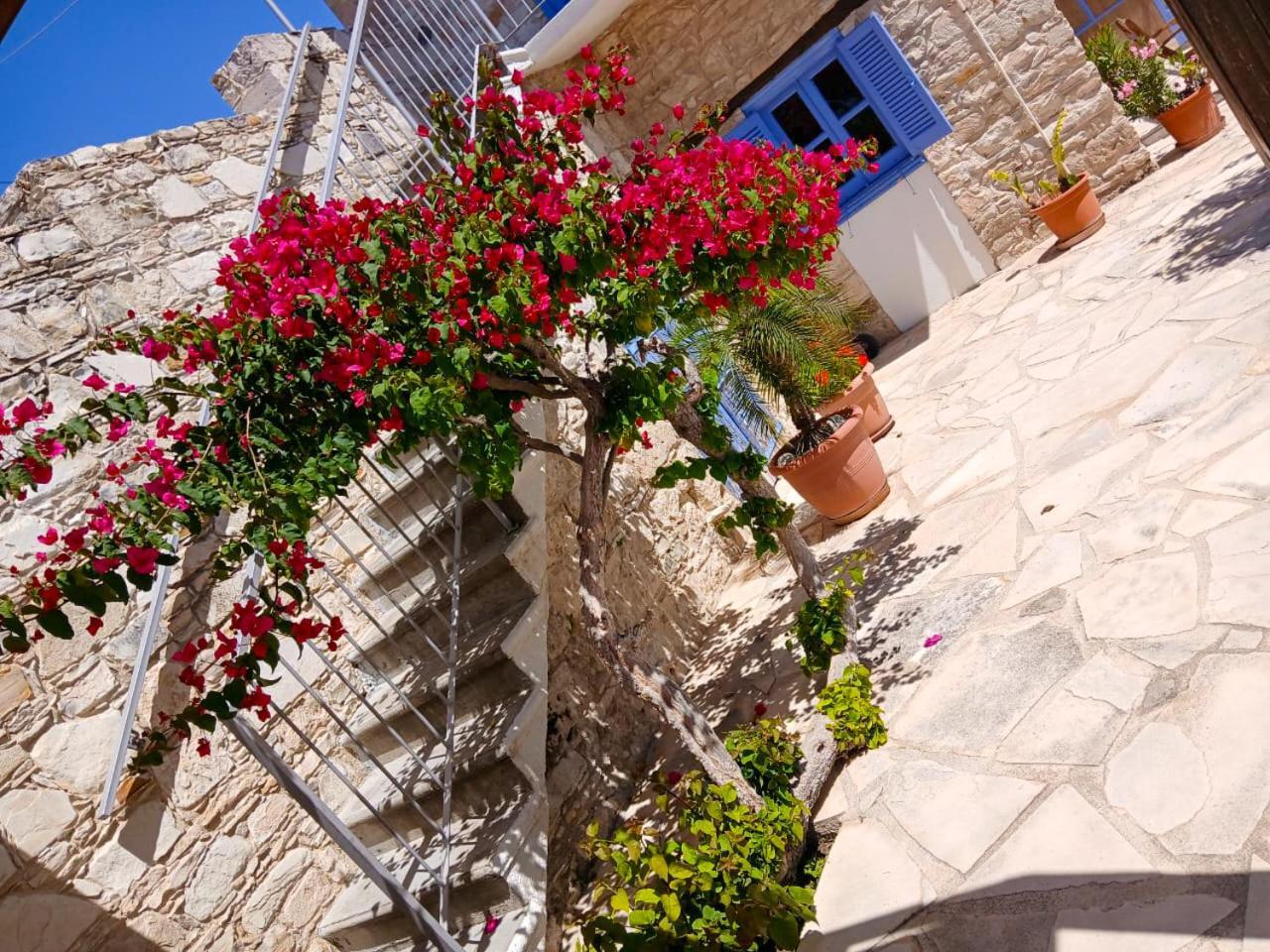 Ferienwohnung Athena'S Pool Oasis Skarinou Exterior foto
